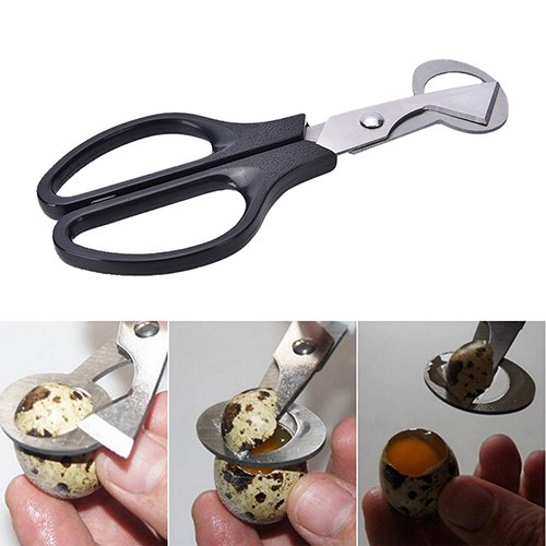 Hot Sale Pigeon Quail Egg Scissor Bird Cutter Opener Kitchen Tool Clipper Cigar Cracker Blade Wholesale Black Color 1pcs